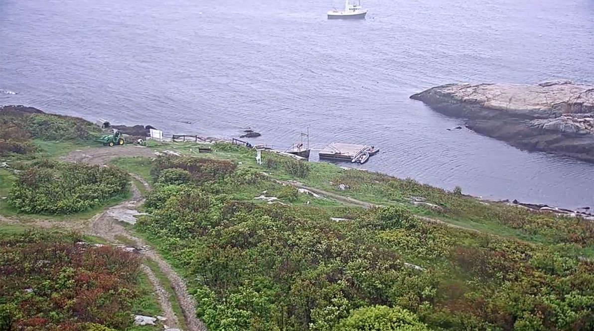 Appledore Camera View